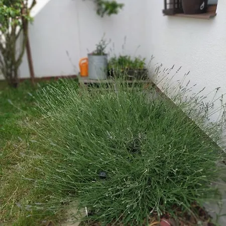 Domecek Na Podhradi Feriehus